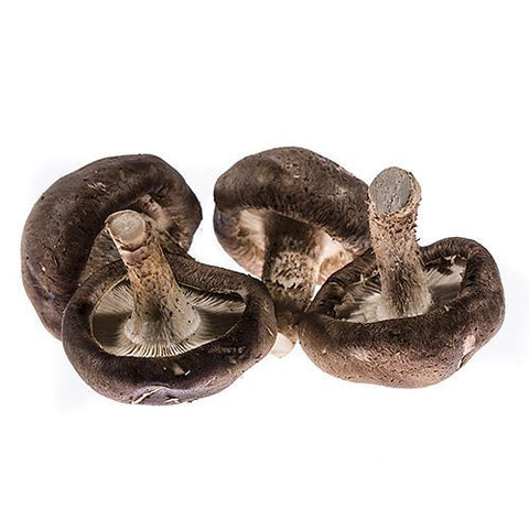 Shiitake Mushrooms, Fresh, 500g Bruce White Ltd MUSH-FRMU-0000322-147-500G