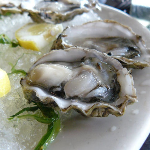 Maldon Oysters, Fresh, x 25