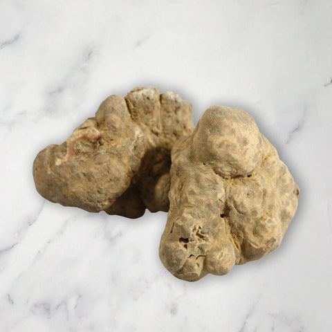 Alba White Truffle, (Magnatum Pico), Fresh