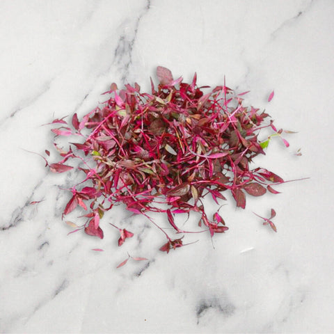 Amaranth Micro Herb, 30g Nature's Choice Ltd GRGR-MIHE-0000316-147