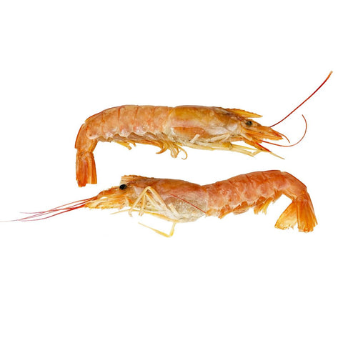 Wild Argentinian Prawns, Frozen Raw, +/-1kg Reach Food Service Ltd SEAF-SPSH-0002640-148