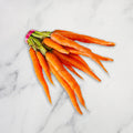 Baby Carrots, Orange, x 3 Bunches European Salad Company Limited GRGR-SPVG-0000421-147