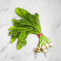 Baby Turnips, x 3 Bunches European Salad Company Limited GRGR-SPVG-0001132-147