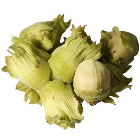 Fresh Cobnuts, 1kg Nature's Choice Ltd GRGR-SPFR-0001924-147