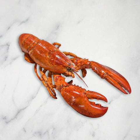 Cooked Lobster, Frozen, +/-350g Reach Food Service Ltd SEAF-SPSH-002203-148