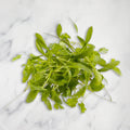 Coriander Micro Herb, 30g Nature's Choice Ltd GRGR-MIHE-0001293-147
