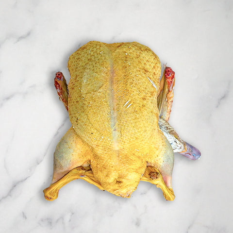 Corn-Fed Dombes Duck, Whole, Fresh, +/-2kg