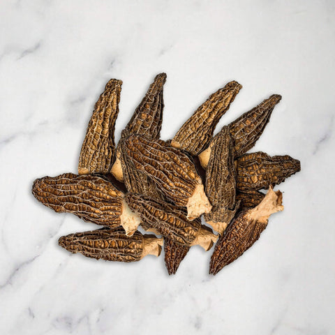 Giant Morel Mushrooms, Dried, Extra Grade (6-8cm) Edible Fungus Co Ltd MOMU-DRMU-0000922-149