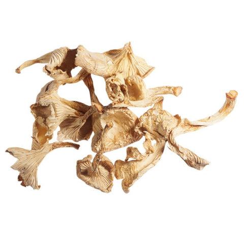Girolle Mushrooms, Dried Mushroom Man Ltd MUSH-DRMU-0000958-149