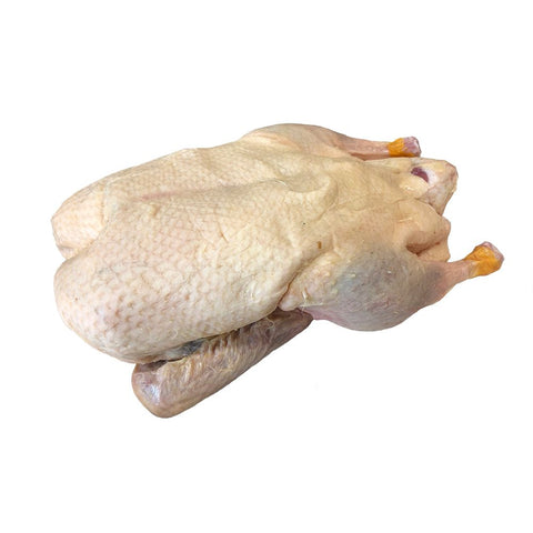 Duck, Oven-Ready, Fresh, +/-2.3kg HG Walter MEPO-SPEPO-07-duckovenready