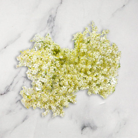 Fresh Elderflower, 100g Fine Food Specialist LIMITED FORA-EDFL-0003989-147