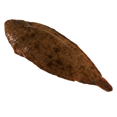 Whole Dover Sole, Fresh, 2 x 500/600g Reach Food Service Ltd SEAF-FRFI-0000121-147