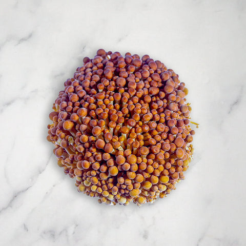 Golden Enoki, Fresh, 400g