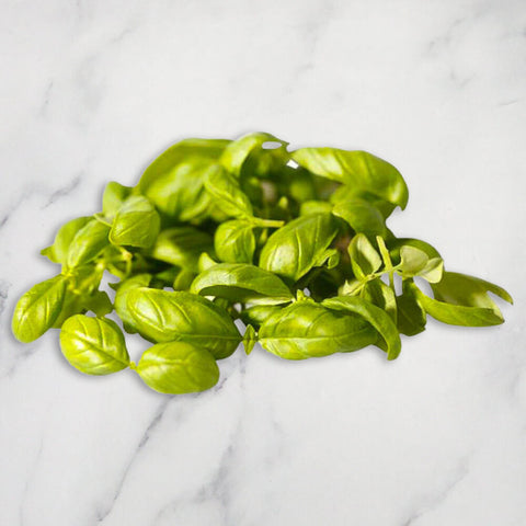 Green Basil Micro Herb, 30g Nature's Choice Ltd GRGR-MIHE-0001909-147