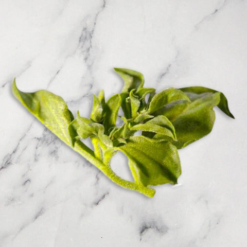 Ice Lettuce Micro Herb, 100g