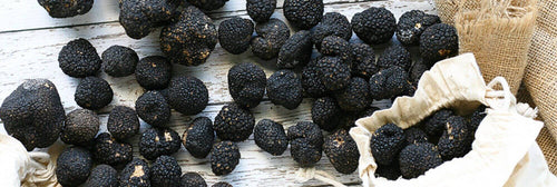 Black Truffle