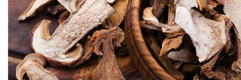 Dried Mushrooms