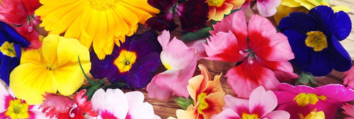 Edible Flowers for Garnishing