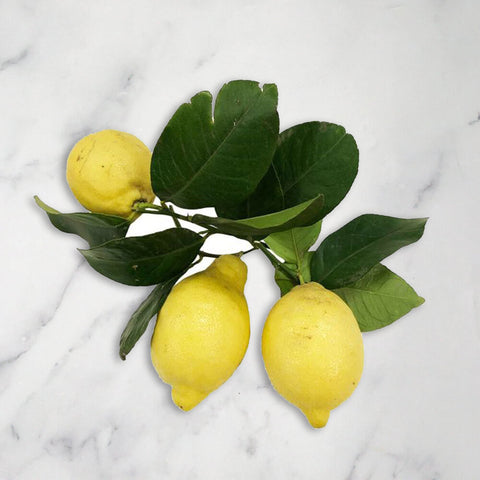 Italian Lemons, 1kg All Greens GRGR-SPFR-0002136-147