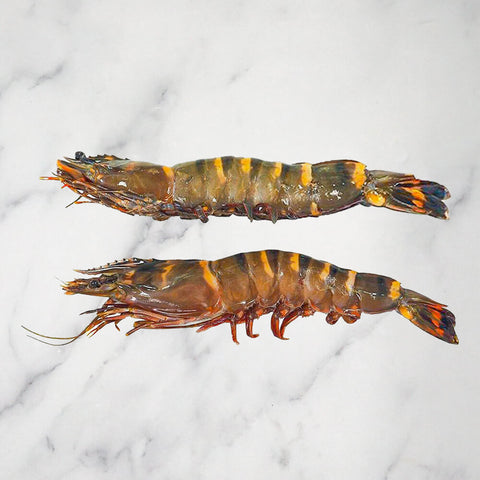Jumbo Tiger Prawns, Frozen, 1kg, (4-6 prawns)