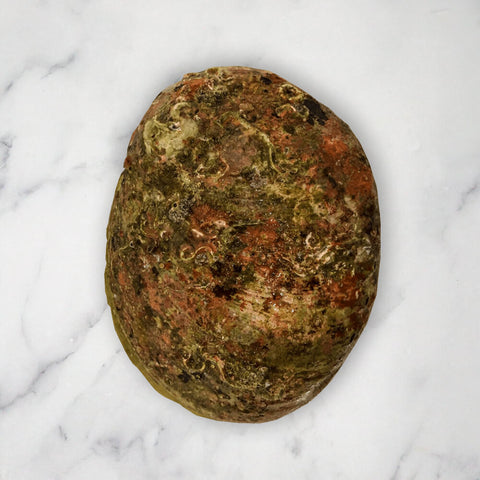 Large Abalone, Frozen, (+/-11cm), 1 Shell, +/-200g