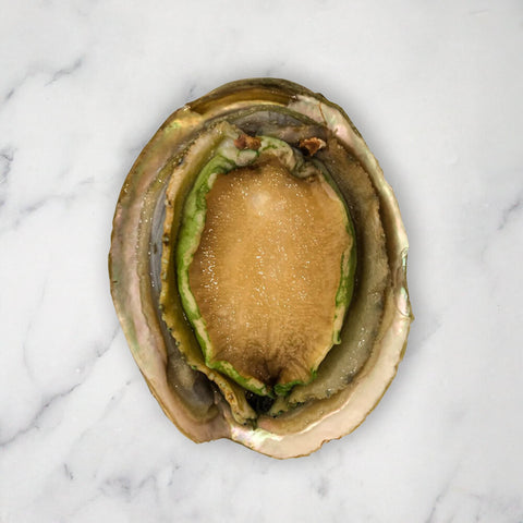 Large Abalone, Frozen, (+/-11cm), 1 Shell, +/-200g Leading Fresh SEAF-FRFS-0002152-148