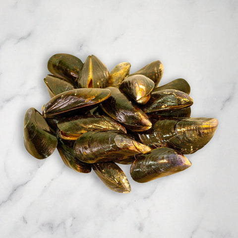 Live Mussels, 2kg Reach Food Service Ltd SEAF-SPSH-0000535-147