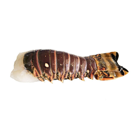 Rock Lobster Tail, Frozen, +/-220g Reach Food Service Ltd SEAF-SPSH-04-rocklobstertail