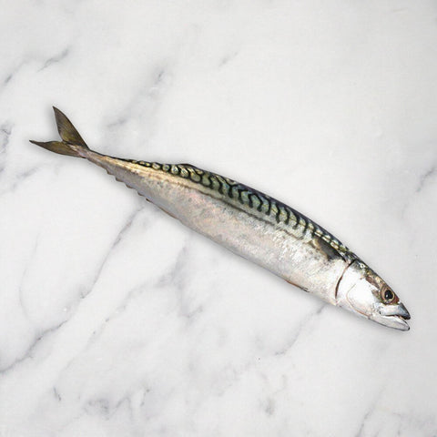 Mackerel, Large, Fresh, +/-1kg Reach Food Service Ltd SEAF-FRFI-000-2736-147