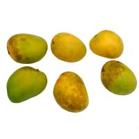 Alphonso Mangoes, Box of 5-6, Fresh