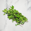 Marjoram, 100g Nature's Choice Ltd GRGR-HERB-0003798-147
