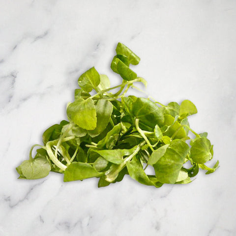 Watercress Micro Herb, 100g Nature's Choice Ltd GRGR-MIHE-0001609-147