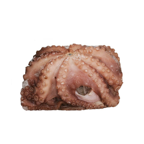 Spanish Octopus, Raw, Frozen, 1-2kg Reach Food Service Ltd 28-9284-7N4D