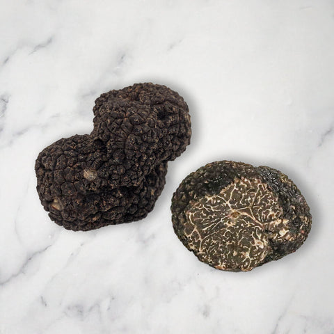 Perigord Black Truffle (Melanosporum), Fresh James Painter TRUF-BLTR-0000938-147