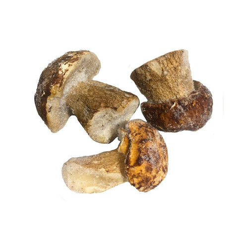 Small Whole Porcini, 'Bouchon', Frozen, 1kg Mushroom Man Ltd MUSH-FROMU-0000098-148