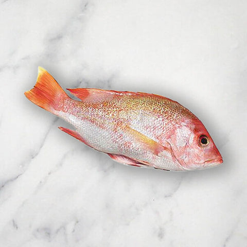 Red Snapper, Fresh, 1-2kg Reach Food Service Ltd SEAF-FRFI-022-redsnapper1-2