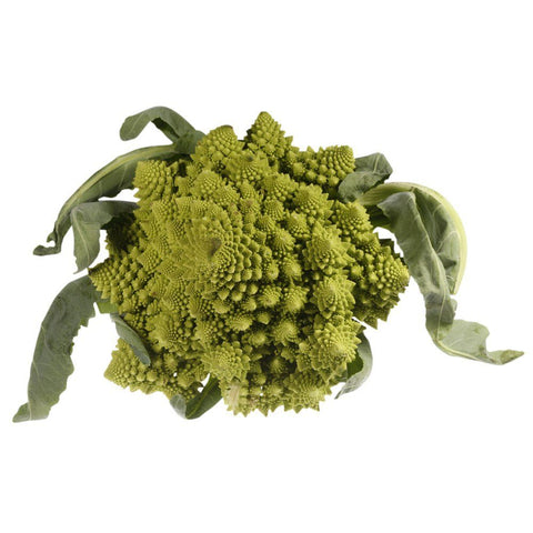 Romanesco, 1 x Head Nature's Choice Ltd GRGR-SPVG-0001463-147