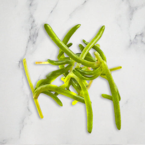 Salty Fingers, 15g Nature's Choice Ltd GRGR-SEVG-0001423-147