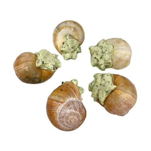Snails Prepared In Shells, Frozen, x 24 Smith and Brock FRSP-SEAF-0000254-148