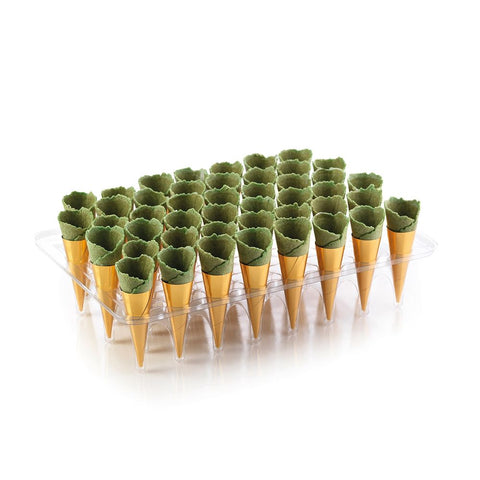 Savoury Fillable Basil Mini Canape Cones, x 45 Classic Fine Foods UK Ltd 4P-9BVA-FPNM
