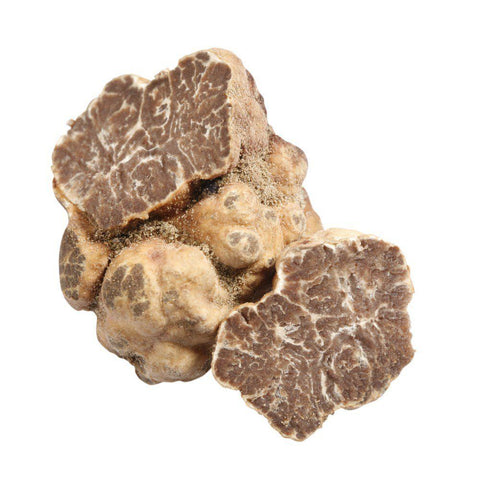 Spring White Truffle (Tuber Albidium Pico), Fresh ElleEsse SRL TRUF-WHTR-0001018-147