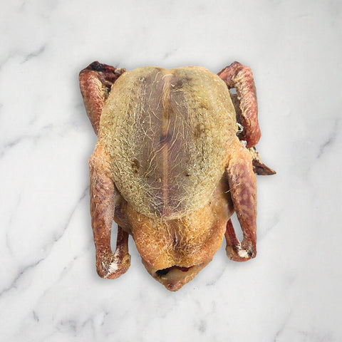 Squab Pigeon Royal, Fresh, +/-500g