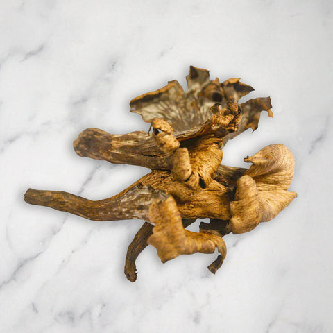 Trompette de la Mort, Fresh Bruce White Ltd MUSH-FRMU-0000941-147