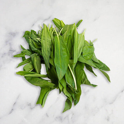 Wild Garlic, 250g