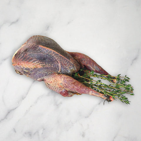 Wood Pigeon, Oven Ready, x 4 HG Walter MEPO-GAME-0002481-147