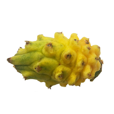 Yellow Dragon Fruit (Pitaya), Fresh x 2 All Greens GRGR-SPFR-06-dragonfruit