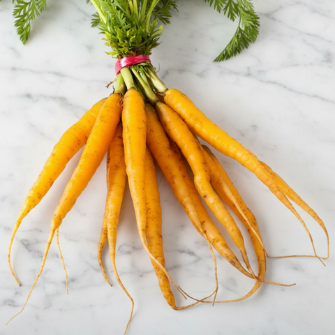 Baby Carrots, Yellow, x 3 Bunches European Salad Company Limited GRGR-SPVG-0000422-147