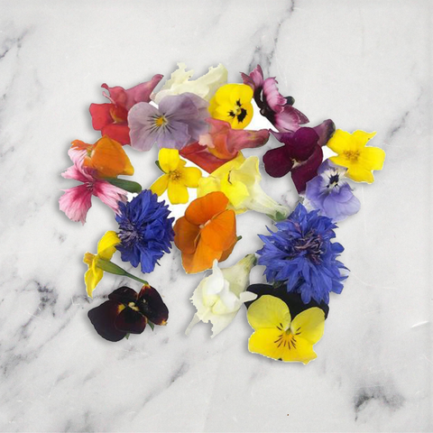 Edible Flower Seasonal Mix, 1 x Punnet