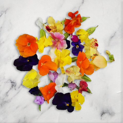 Edible Flower Seasonal Mix, 1 x Punnet