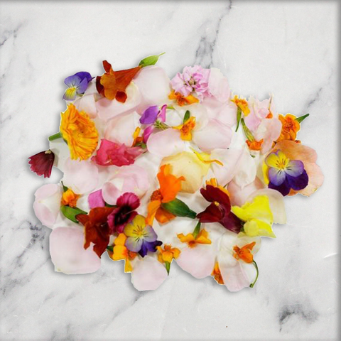 Edible Flower Seasonal Mix, 1 x Punnet